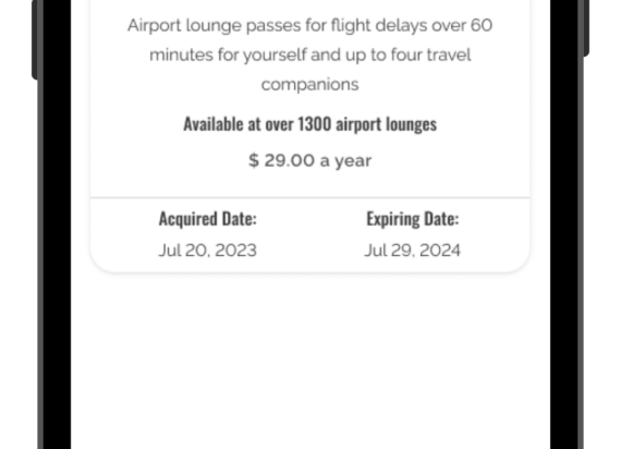 Vacay Delay - The Solution
