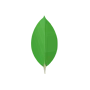 MongoDB Logo